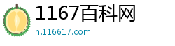 1167百科网